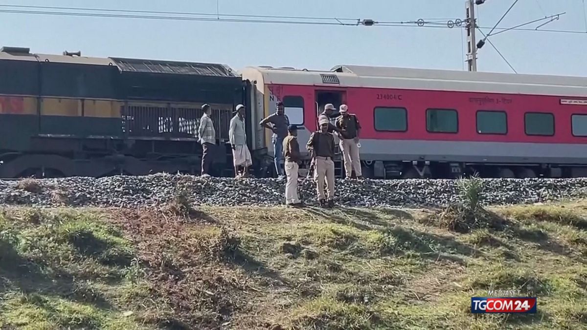 INDIA ELEFANTI TRENO PER SITO SRV