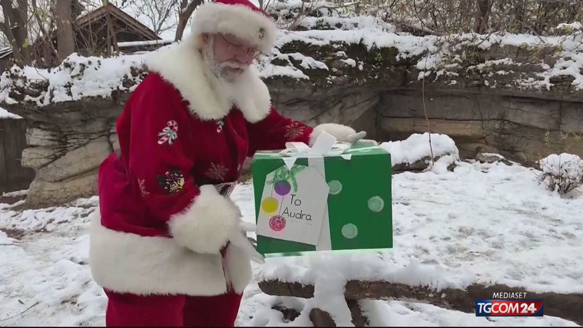 18.00 MCH OHIO, BABBO NATALE ALLO ZOO MCH