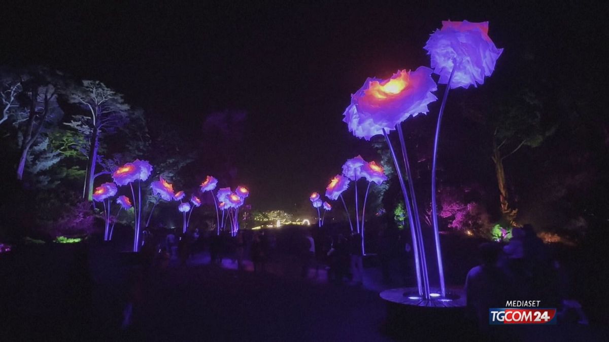 12.00 MCH LUCI A SF GIARDINO BOTANICO MCH