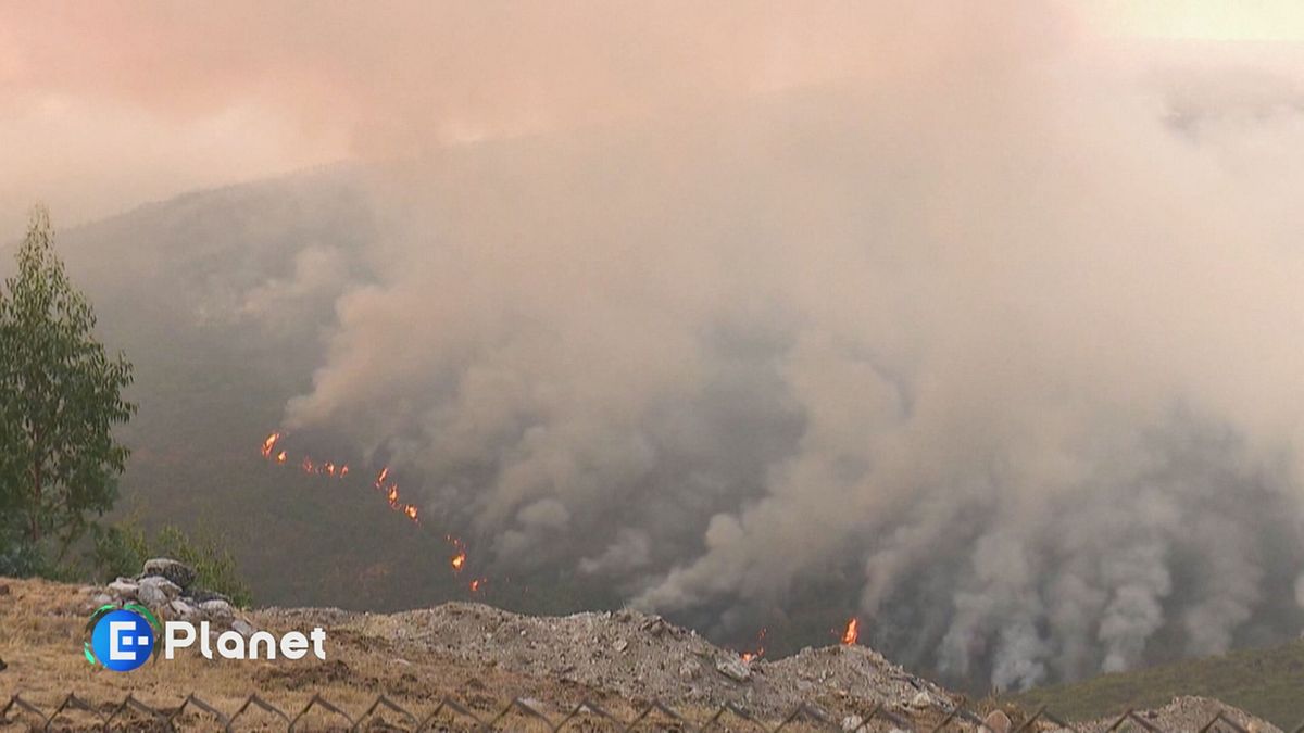 Come è andato il 2025