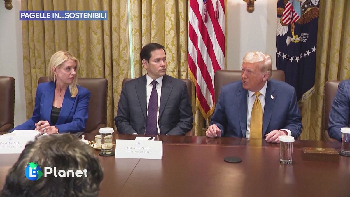 Pagelle in...sostenibili