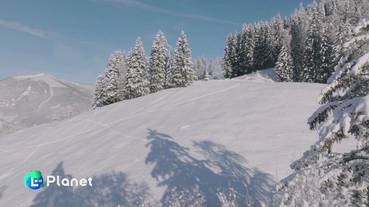Che mondo fa: il ghiaccio e la neve