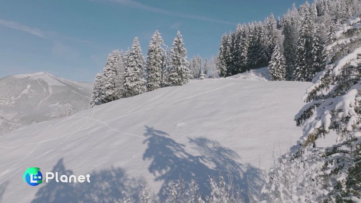 Puntata del 28 dicembre