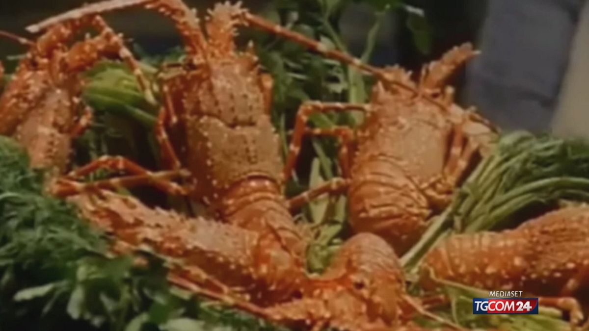 18.00 UK, ARAGOSTE: VIETATO BOLLIRLE SRV