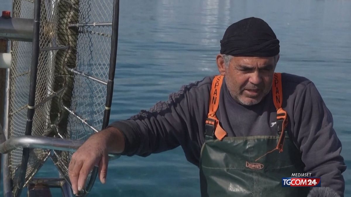 12.00 CIPRO, PESCI INVASIVI SRV