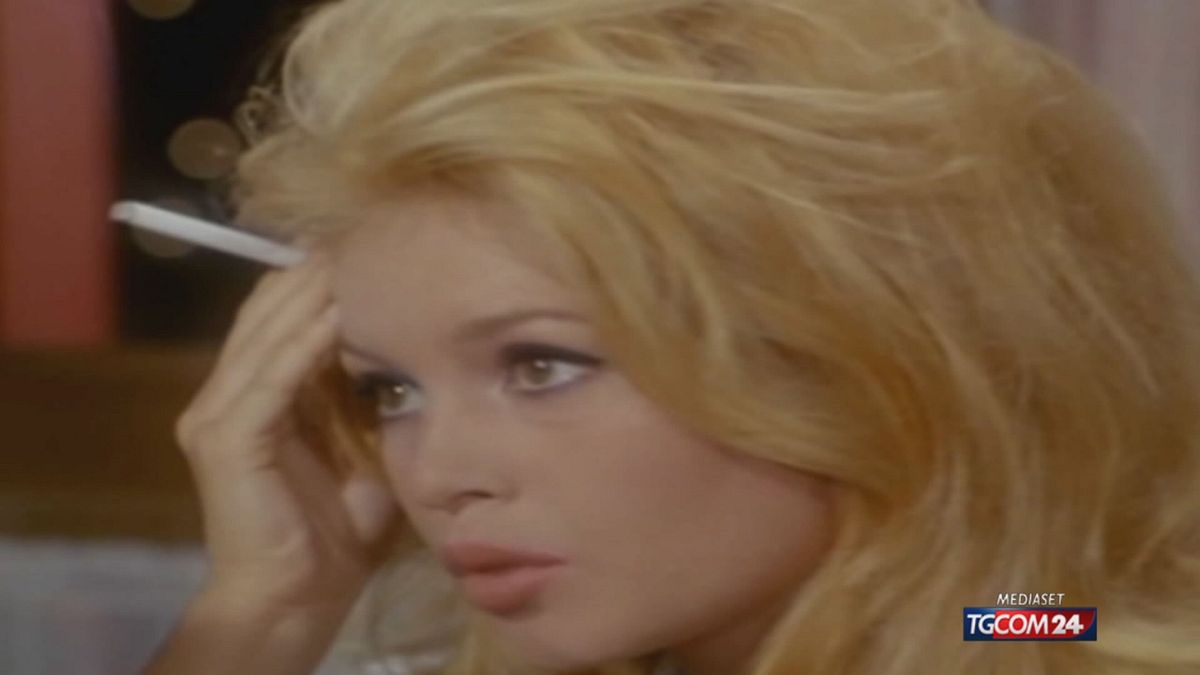 12.10 BARDOT COCCODRILLO TG ( nuovo) SRV