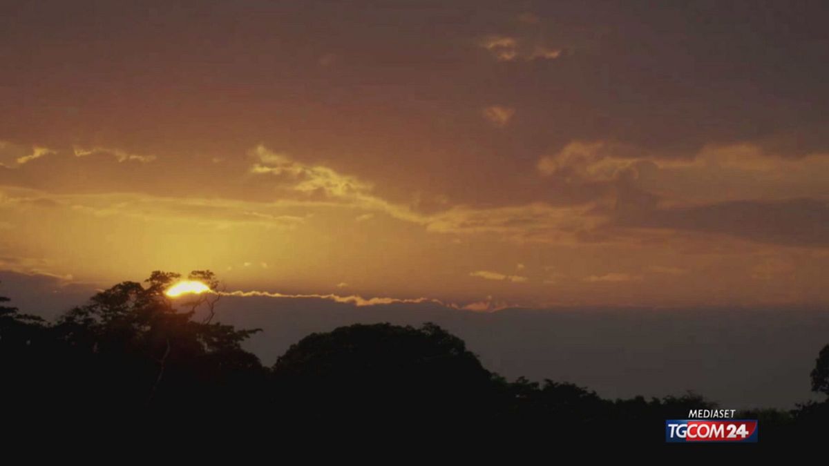 12.05 NOTIZIE POSTIVIE AMBIENTE 2025 SRV