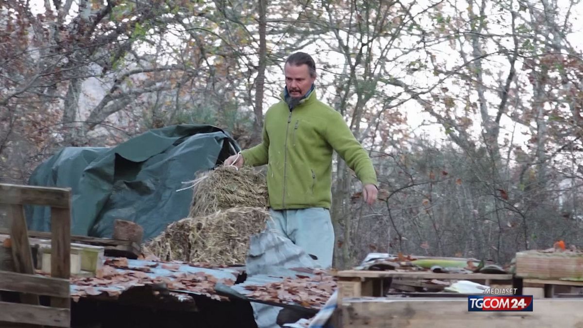 18.00 SVILUPPI PALMOLI SRV