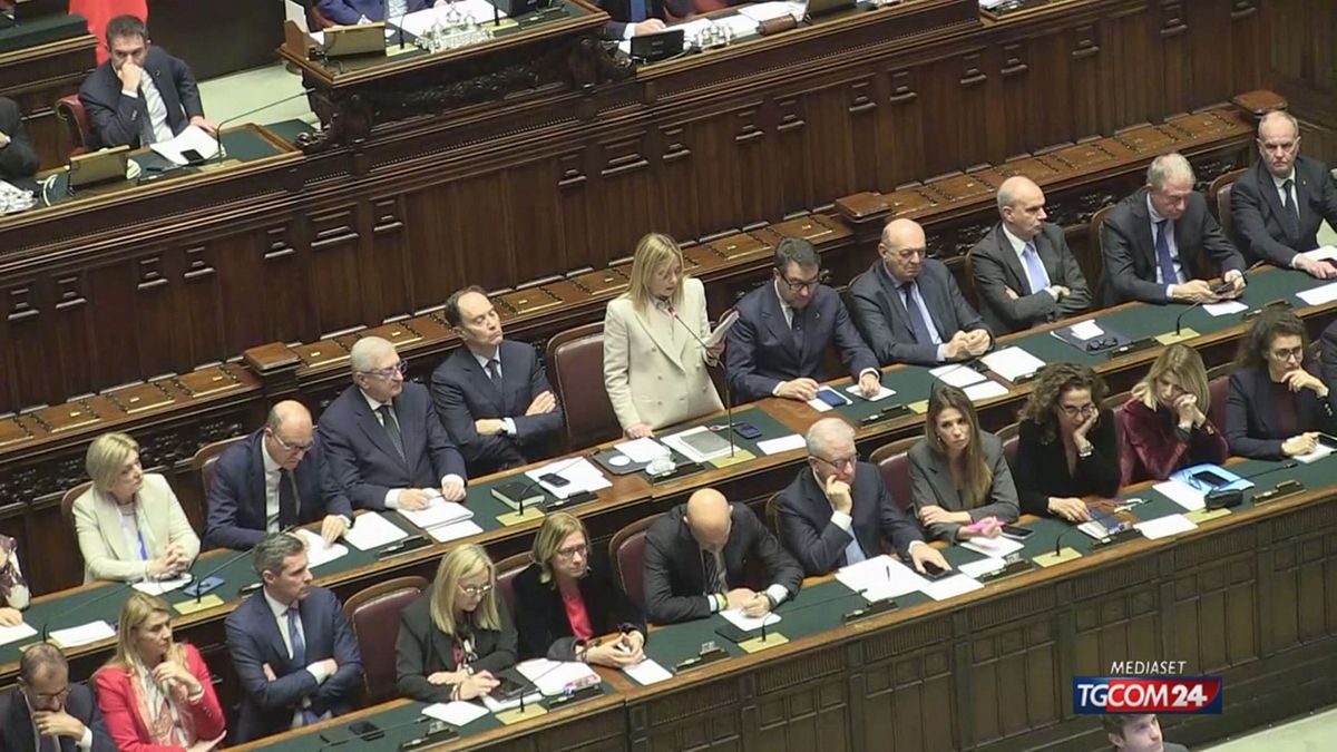 12.01 MANOVRA, SCHEDA