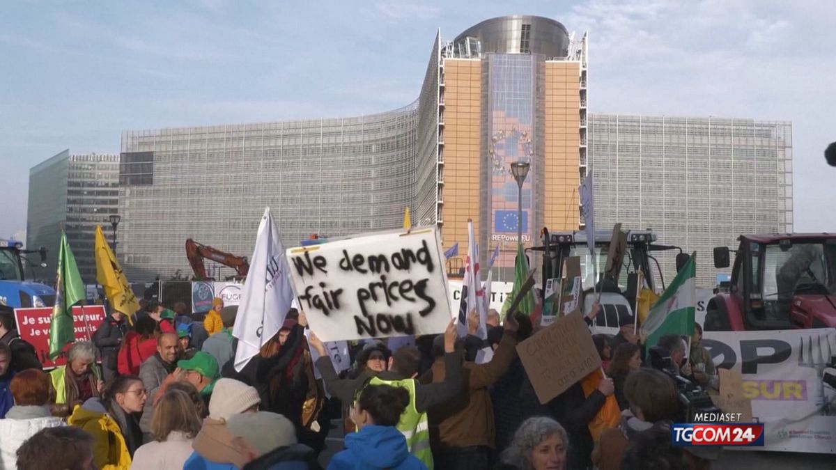 18.00 MERCOSUR E PROTESTE  SRV