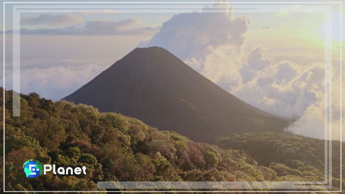 Puntata dell'11 gennaio