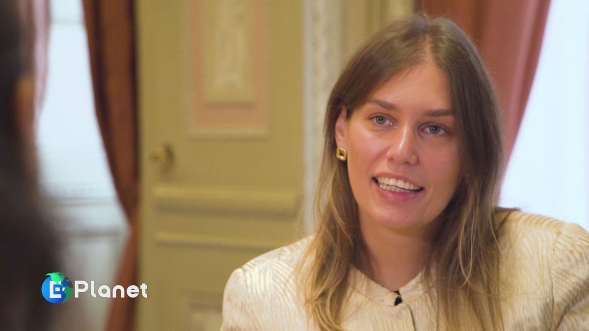 La legge dell'ambiente