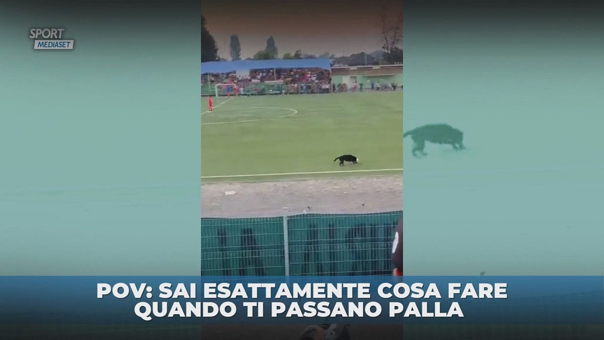 Sai cosa fare con il pallone