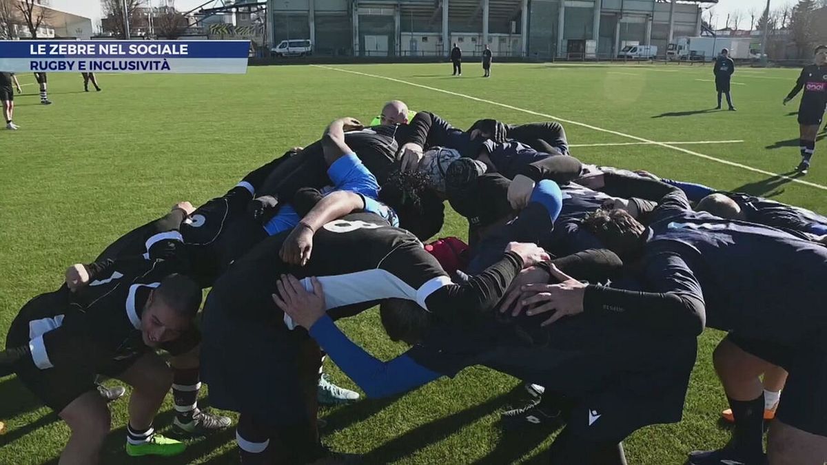 Le zebre nel sociale