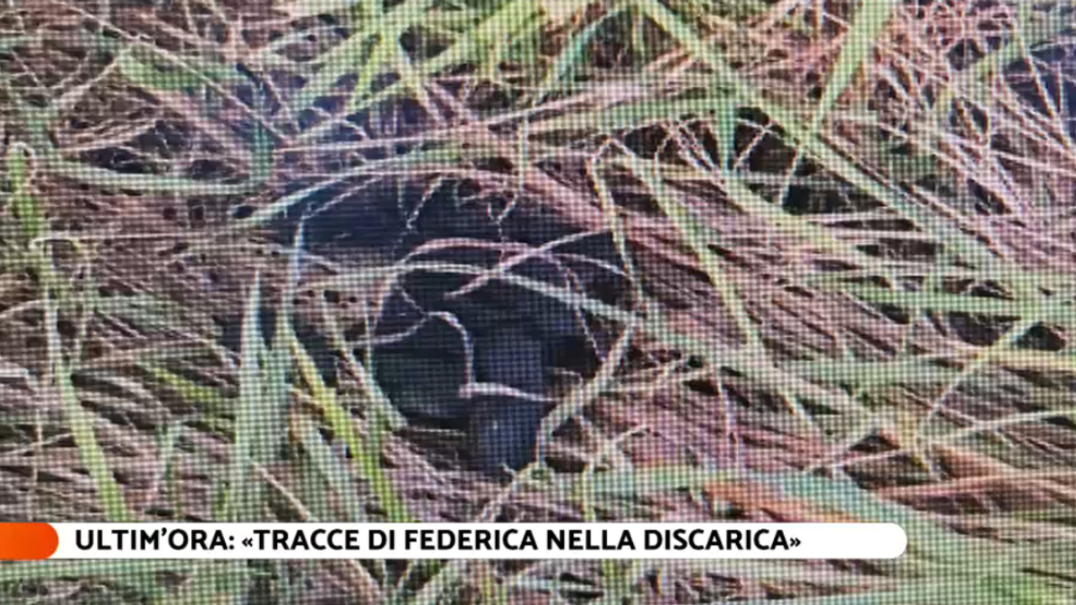 Il guanti in lattice