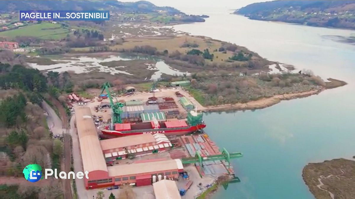 Pagelle in... sostenibili