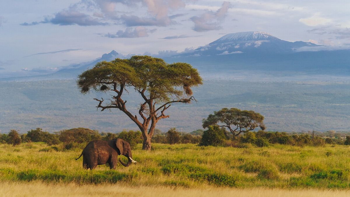 Kenya, Tanzania e la Grande Migrazione 