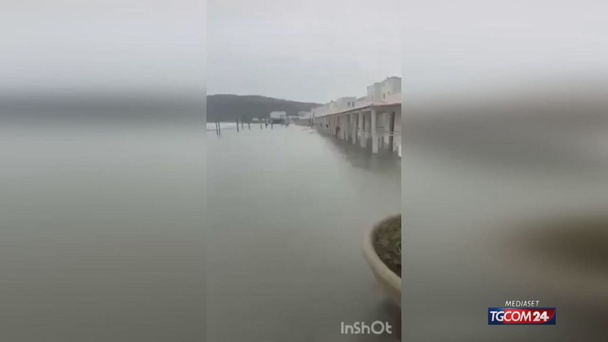 POETTO ALLAGATO X SITO SRV