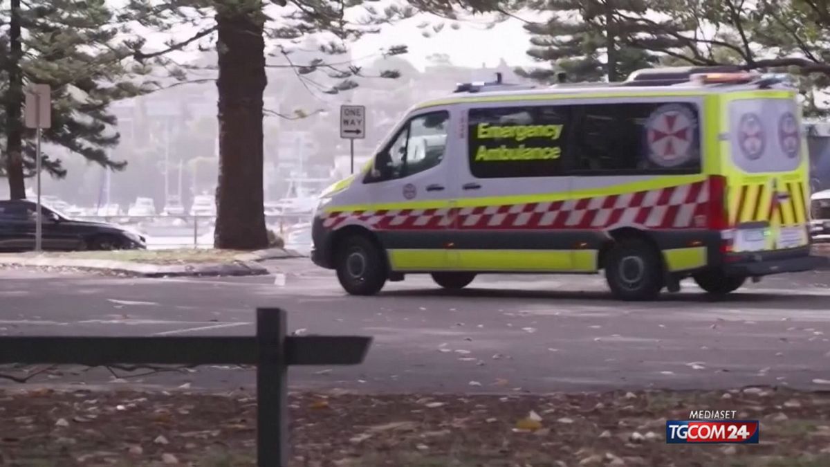 12.00 MCH ATTACCHI SQUALI AUSTRALIA MCH