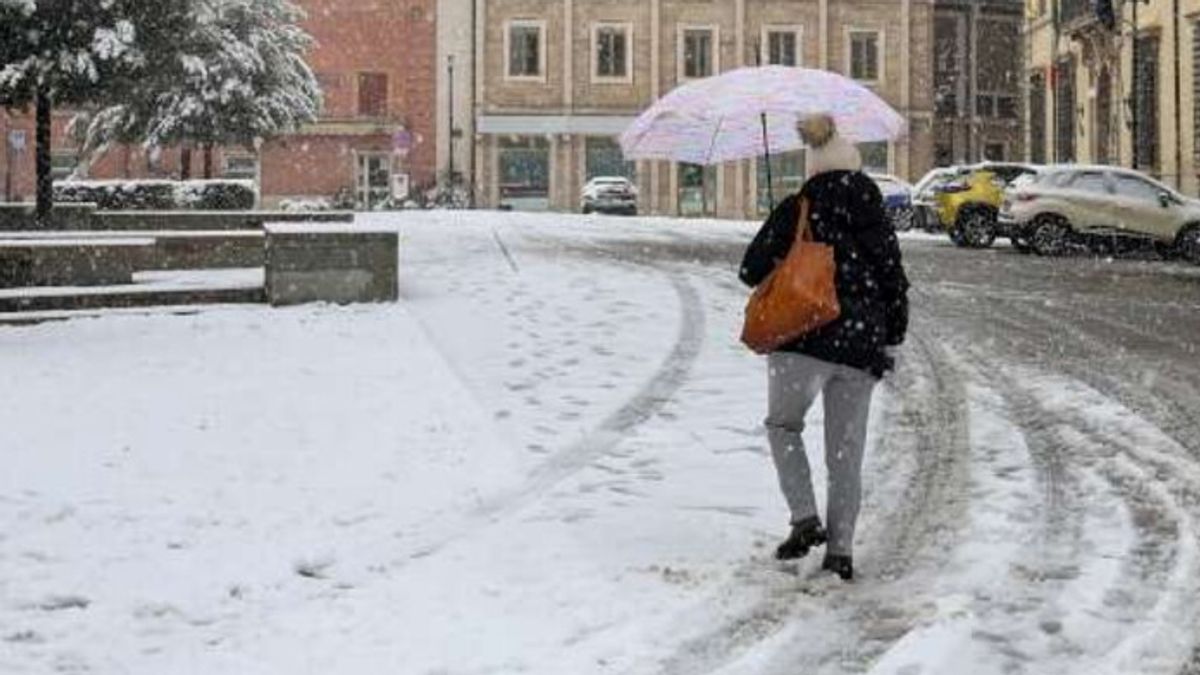  La città di Rieti si è svegliata sotto una coltre di neve. Diversi gli interessi dei vigili del fuoco per gli alberi caduti