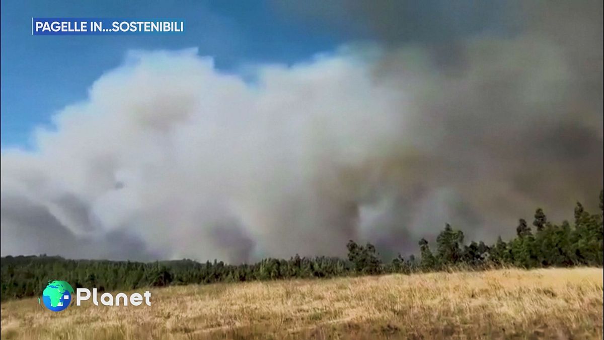 Pagelle in...sostenibili