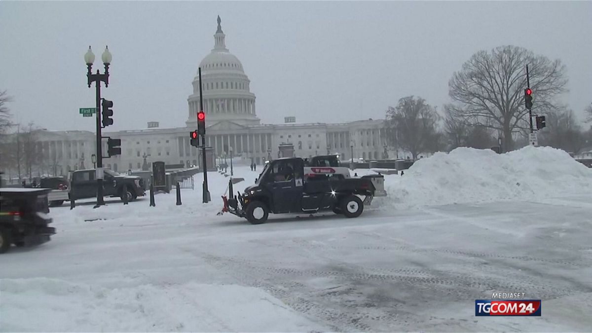 WASHINGTON NEVE SITO SRV