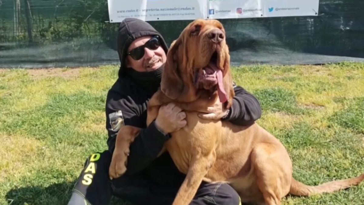 Il cane-eroe Bruno "non fu avvelenato": indagato l'addestratore