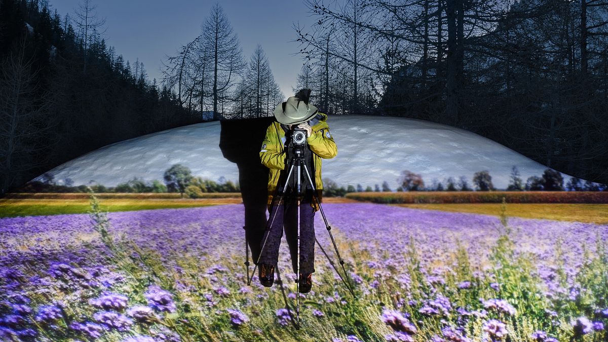 Val Ferret, Monte Bianco