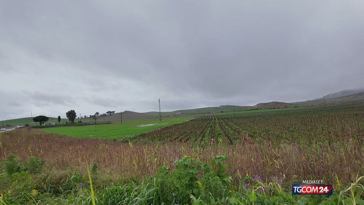 12.05 NISCEMI E NEW TOWN SRV