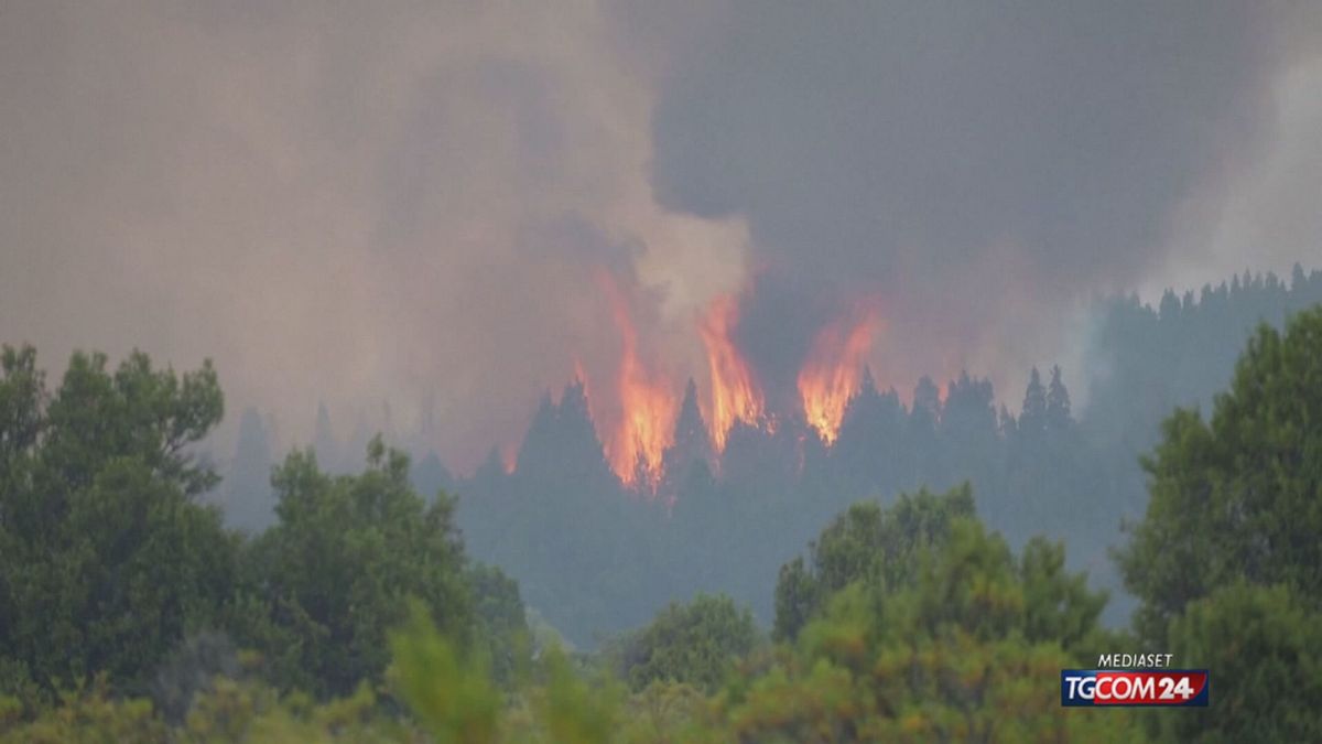 12.00 INCENDI ARGENTINA SRV