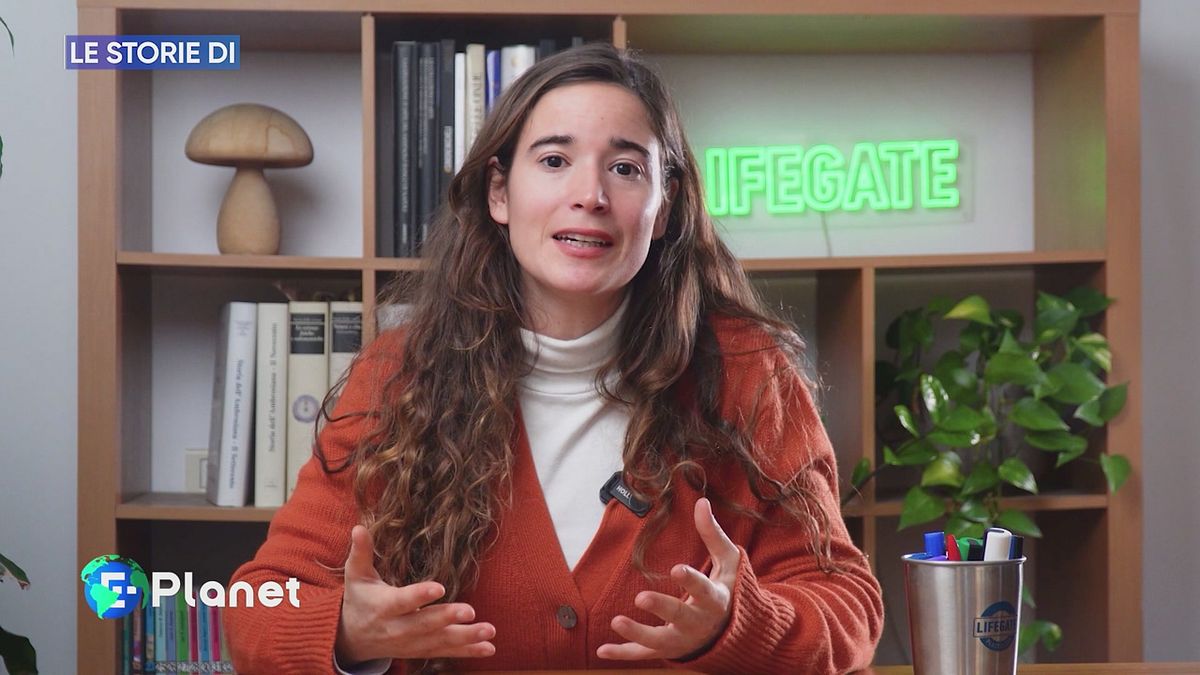 Le storie di LifeGate