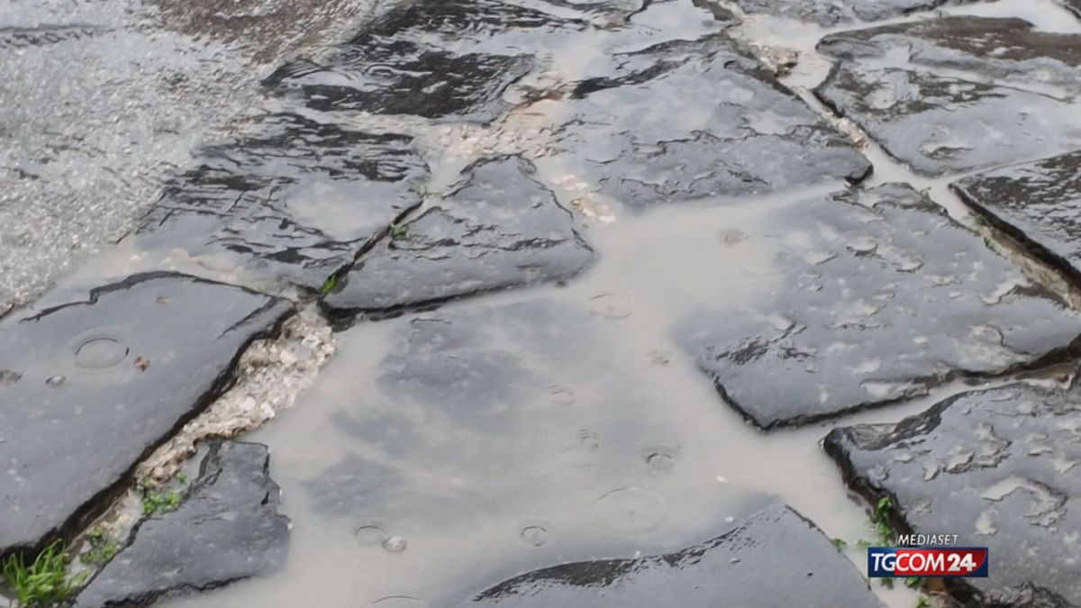 niscemi per sito SRV