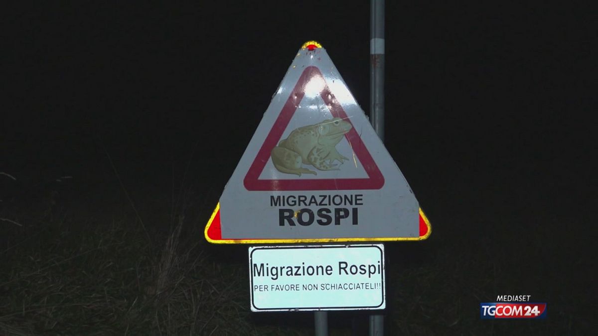 12.00 AREZZO, SALVIAMO I ROSPI OK