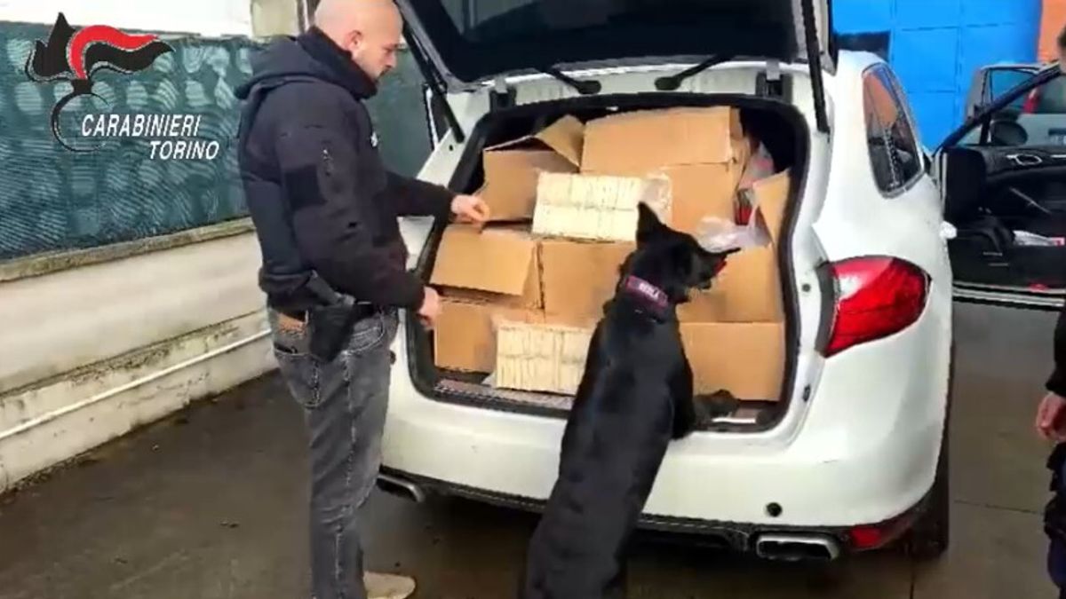 Torino, sequestrata mezza tonnellata di droga in un capannone