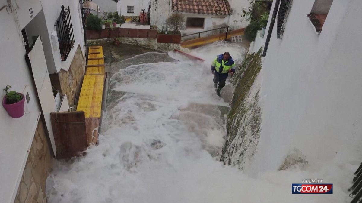 UBRIQUE SPAGNA TORRENTE SITO SRV
