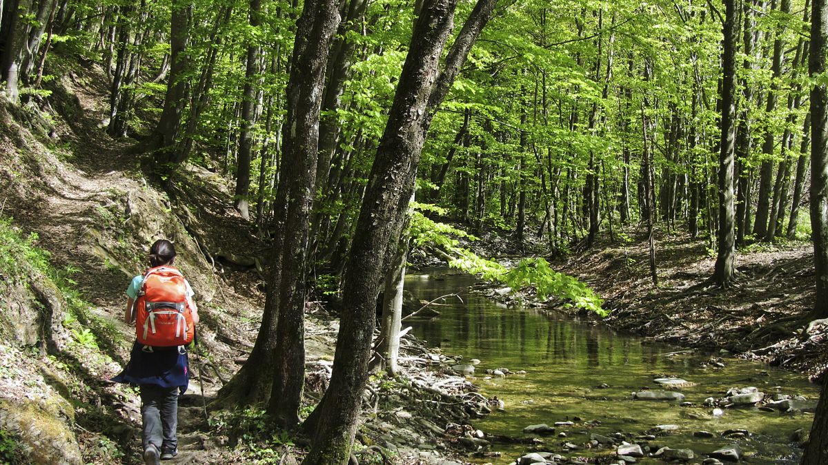 Valle dell'Acquacheta