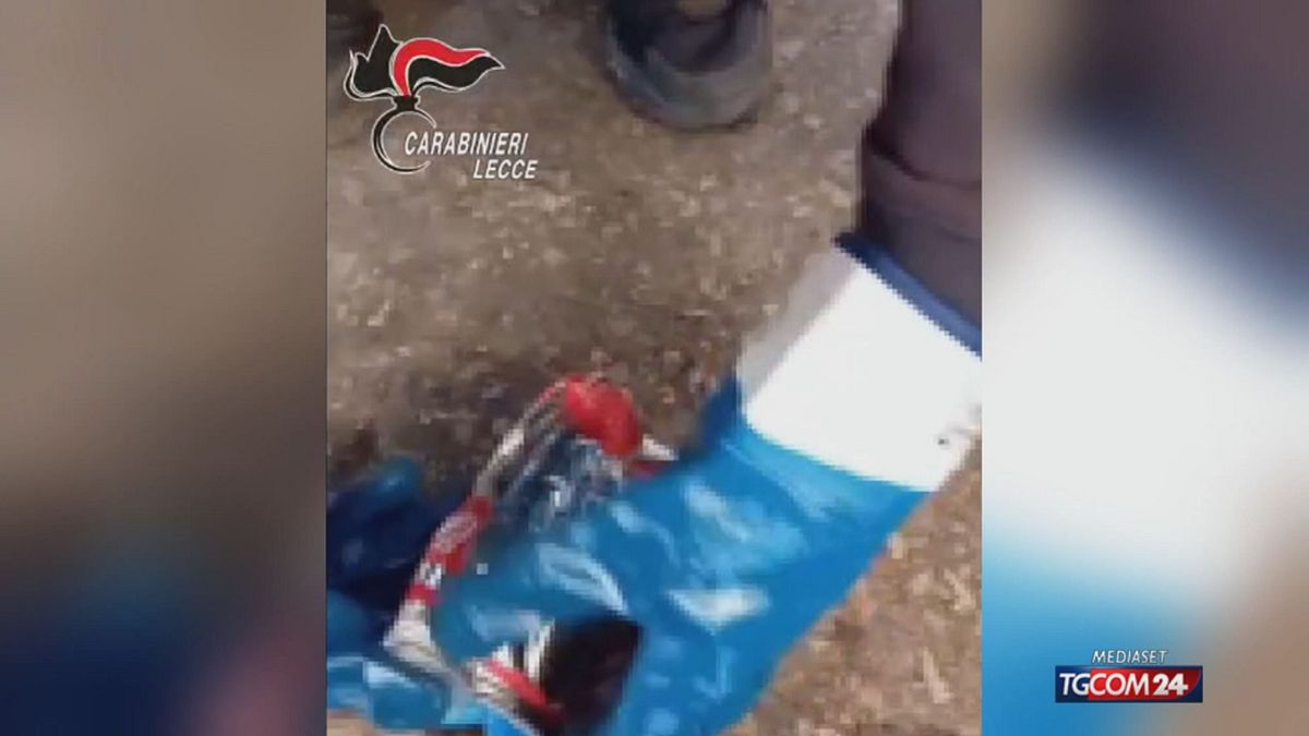 Butta per errore 20 lingotti d'oro: i carabinieri li recuperano in discarica
