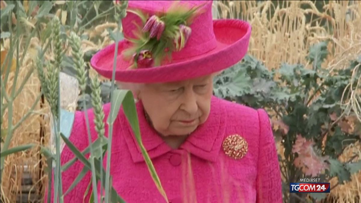 18.00 LA REGINA ELISABETTA E I 12 MILIONI AD ANDREA SRV