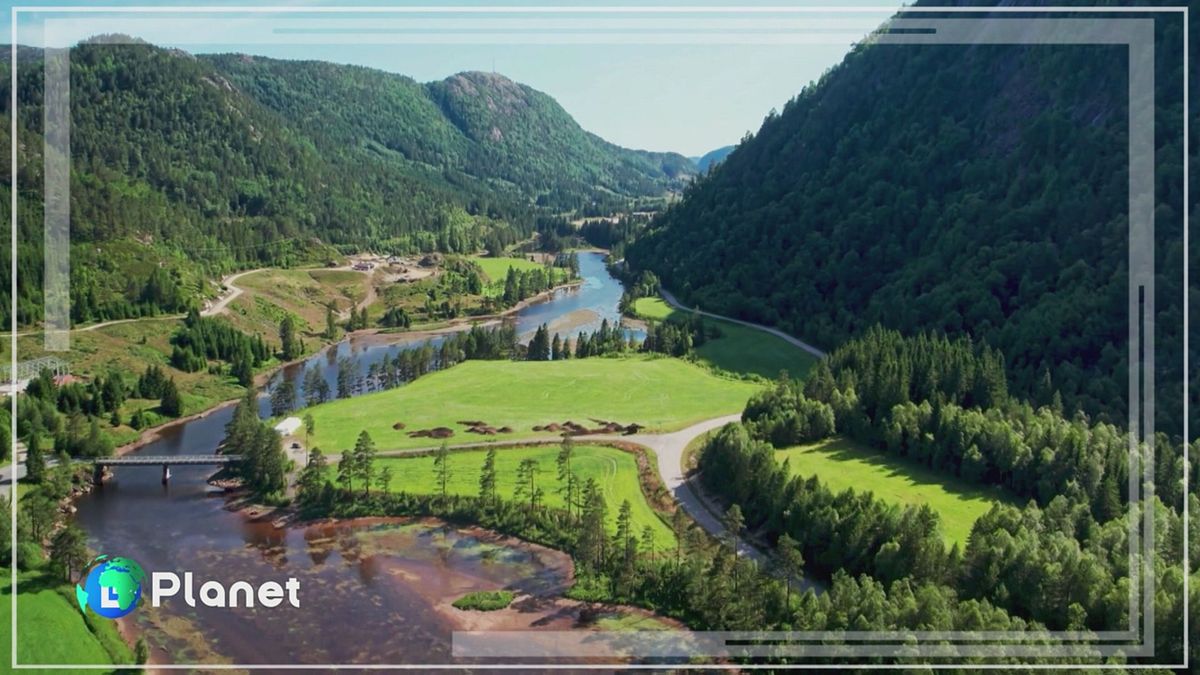 Puntata del 15 febbraio