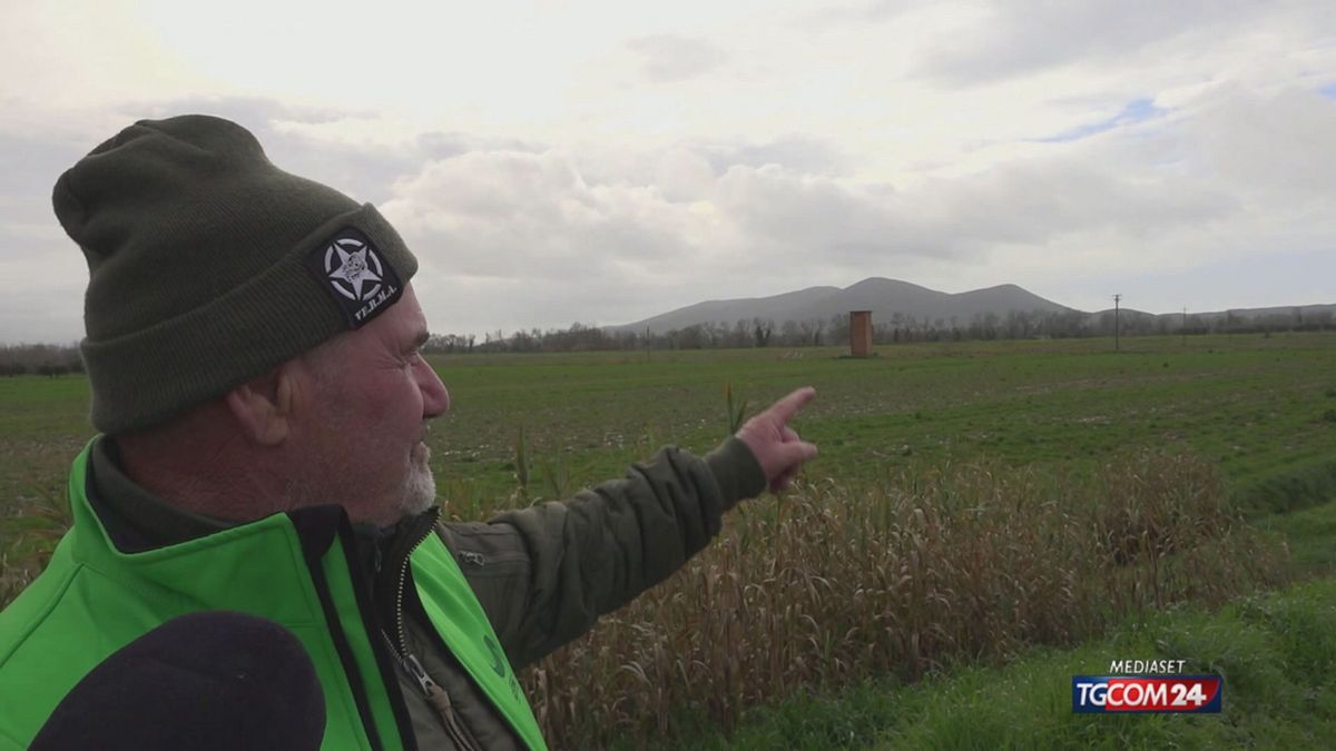 18.00 MULTATI SE NON SEMINANO SRV