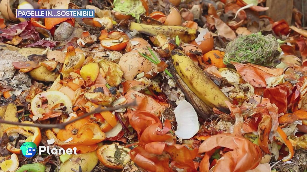 Pagelle in.. sostenibili
