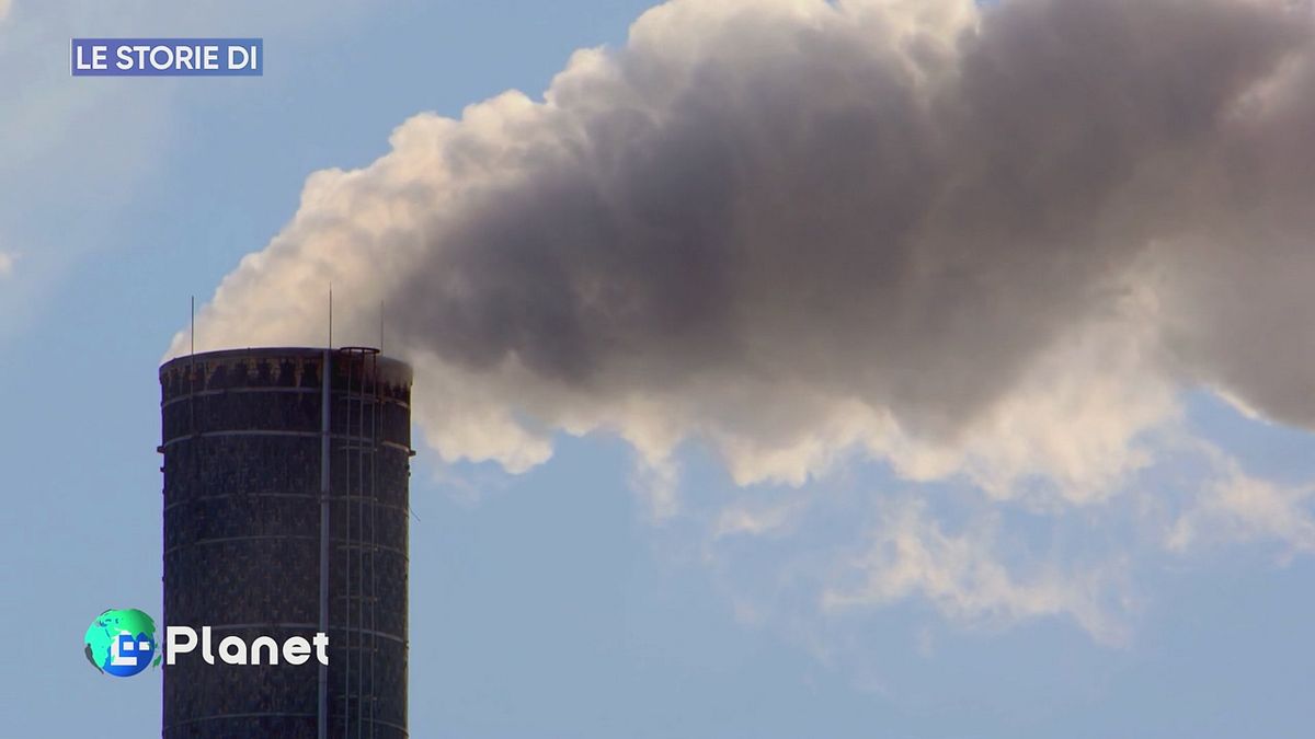 Le storie di Lifegate