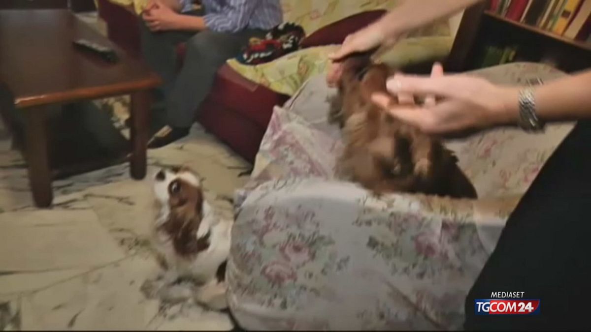 PET ECONOMY SITO SRV