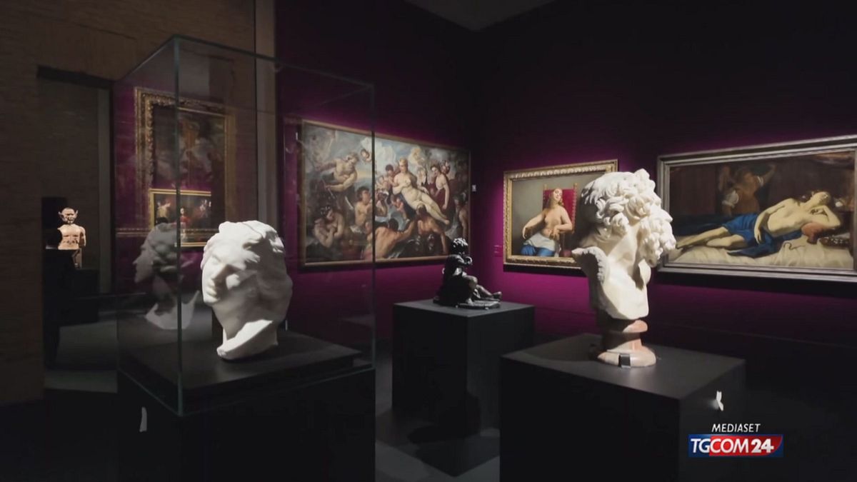 12.05 MEDIAFRIENDS E MOSTRA BAROCCO A FORLI' SRV