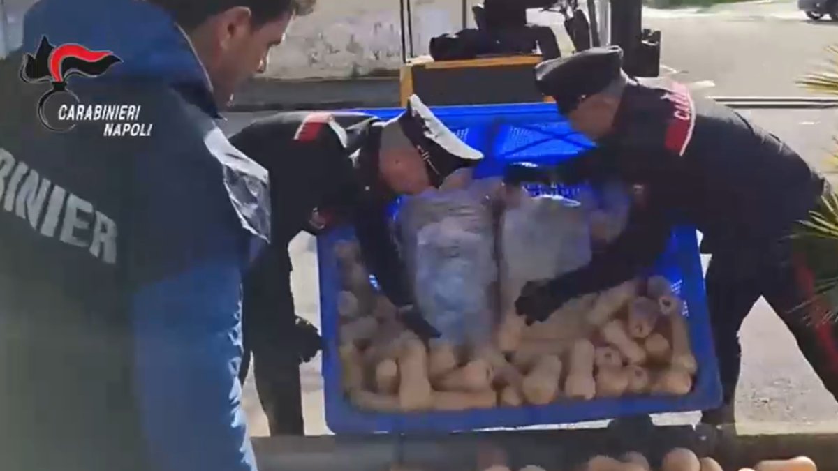Napoli, maxi-sequestro di droga tra frutta e verdura