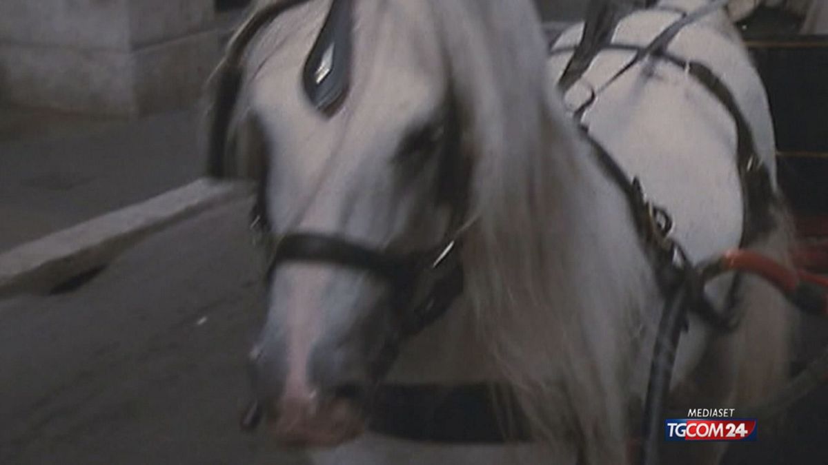 18.10 (non usare) ROMA, LE BOTTICELLE TRASLOCANO SRV ok