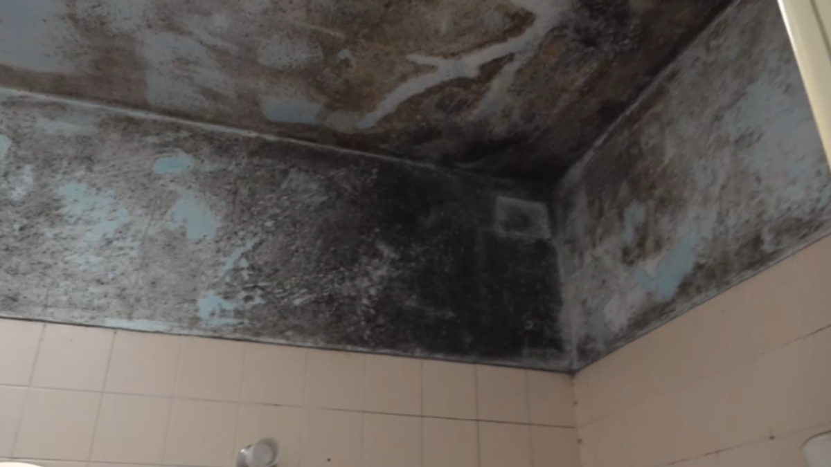 La Spezia, invalido in terapia d'ossigeno vive in un appartamento infestato di muffa