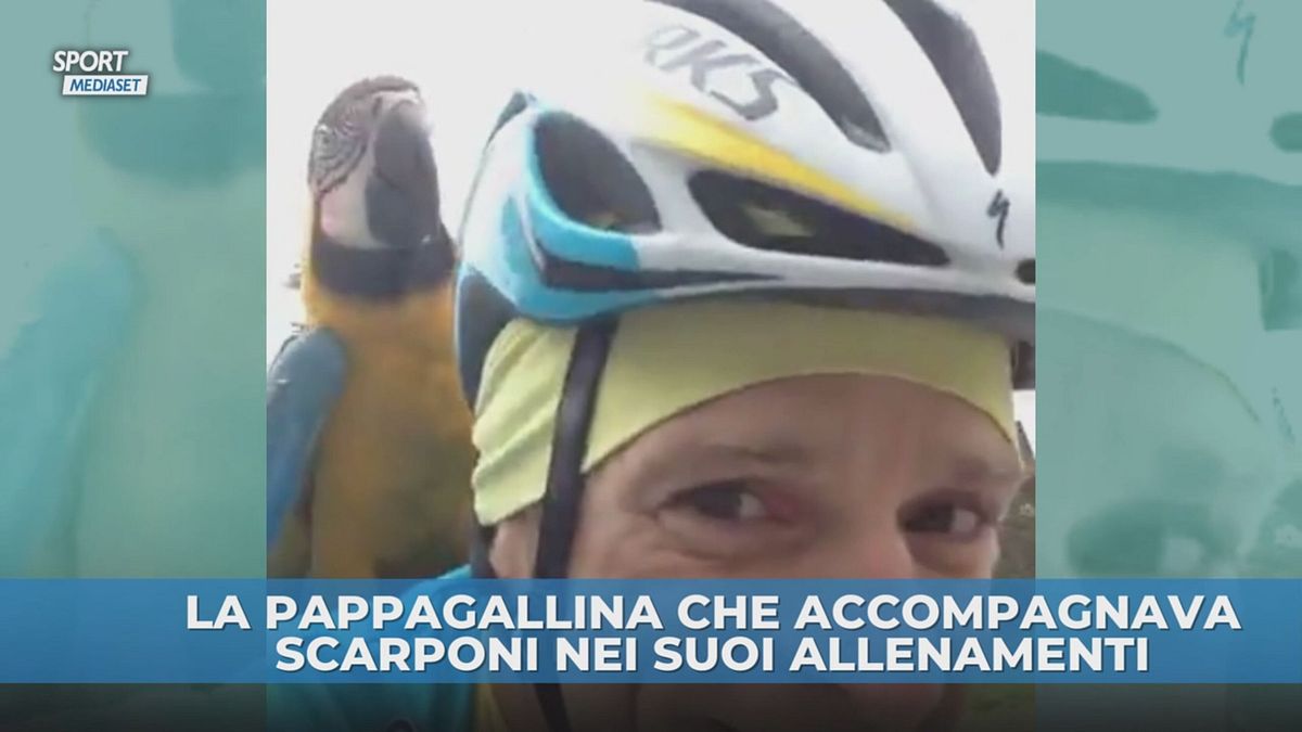 Filottrano piange Frankie: la pappagallina star dei social grazie a Scarponi