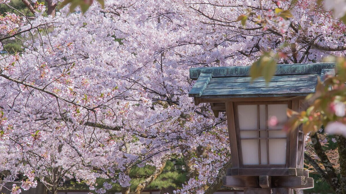 Kenroku-en Garden, Kanazawa, Giappone