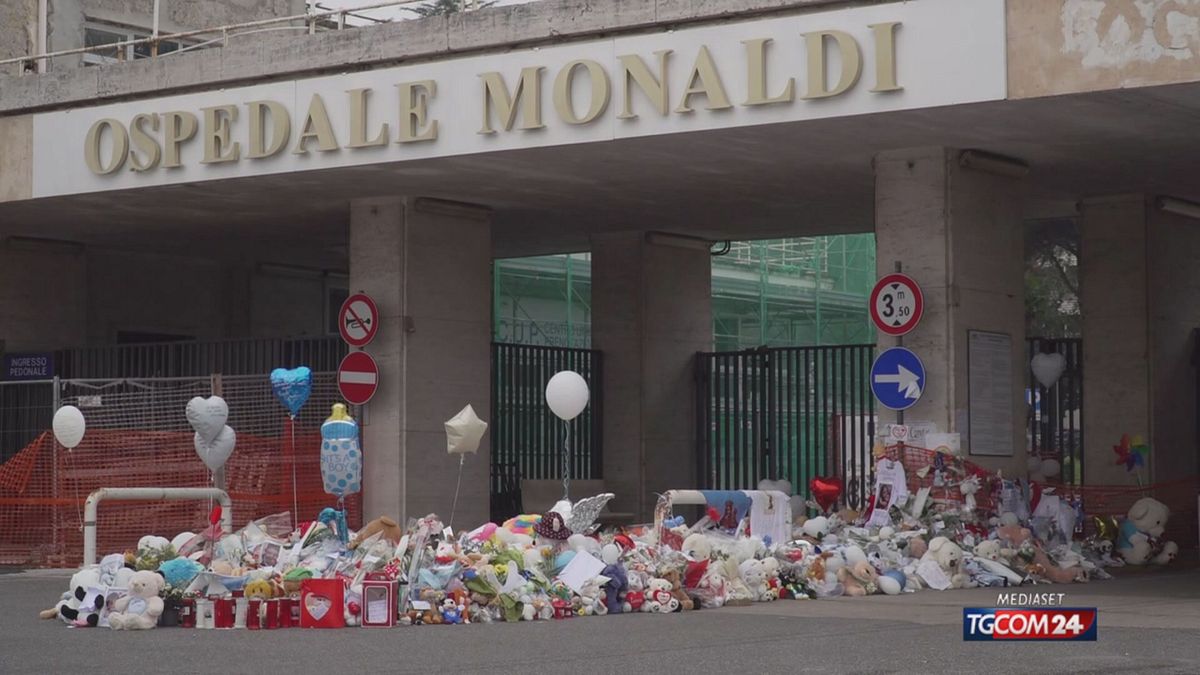 12.00 DOMENICO, SVILUPPI SRV